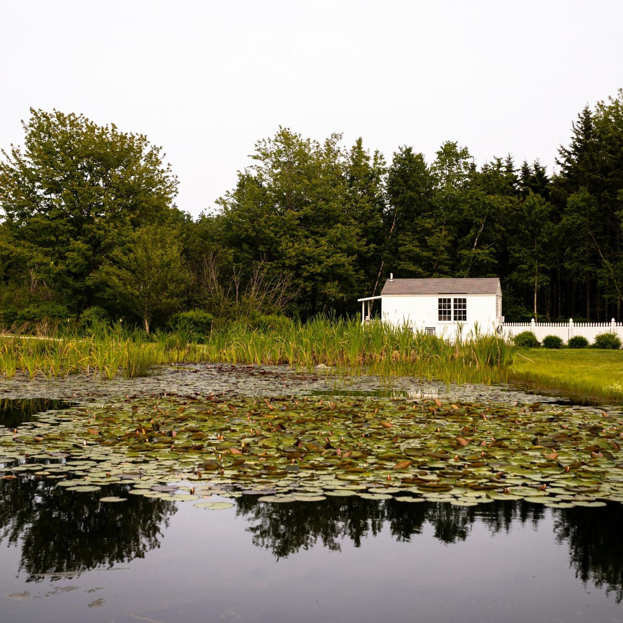 Bluebird Ocean Point Inn Esterno foto